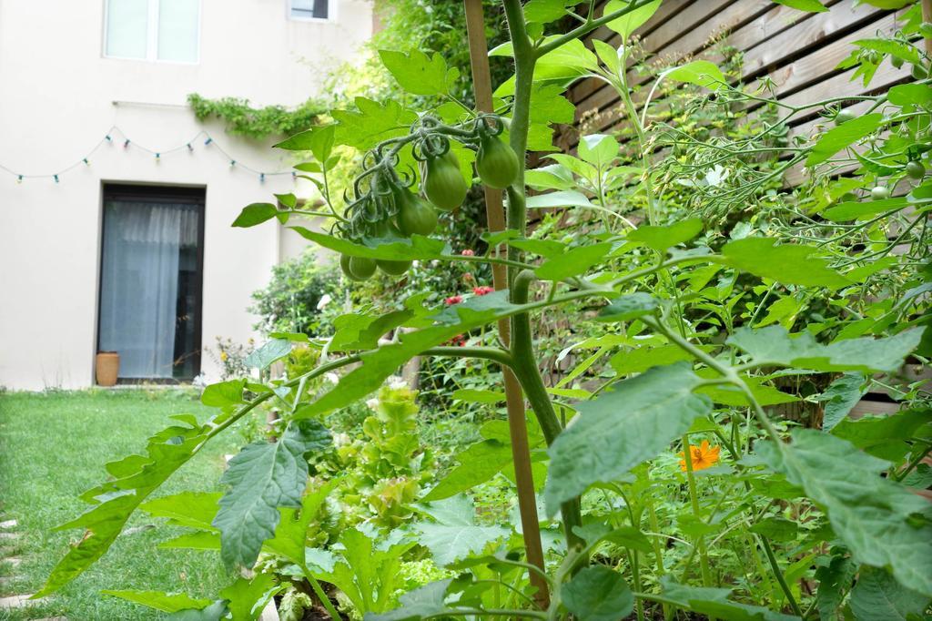 La Campagne A Paris B&B المظهر الخارجي الصورة